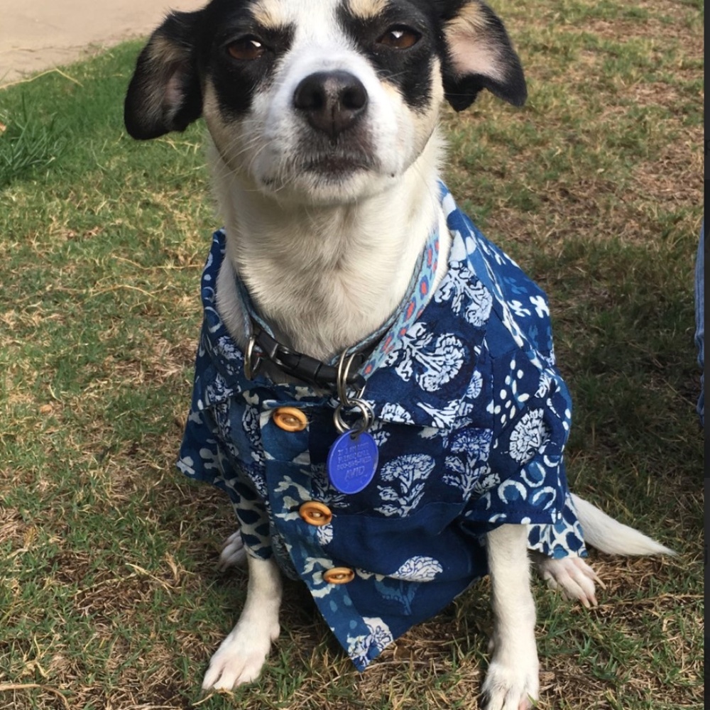 New Patchwork Dog Shirt. Super cute, homemade vintage fabric button down, Medium - Picture 2 of 5